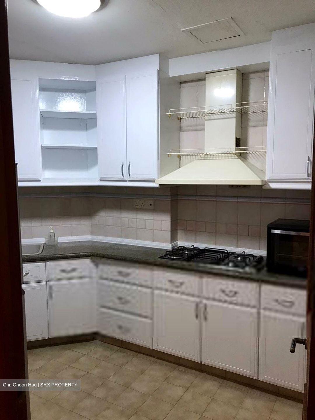 Dover Parkview (D5), Condominium #416989261